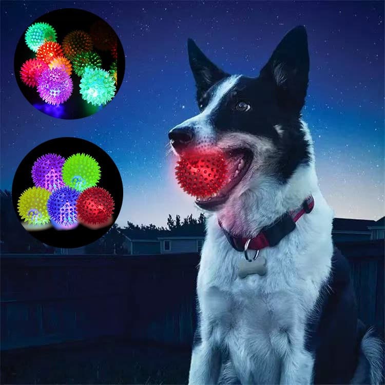Brinquedo Mordedor Pra Pet Cachorro Bolinha E Osso Com Espinhos  Led