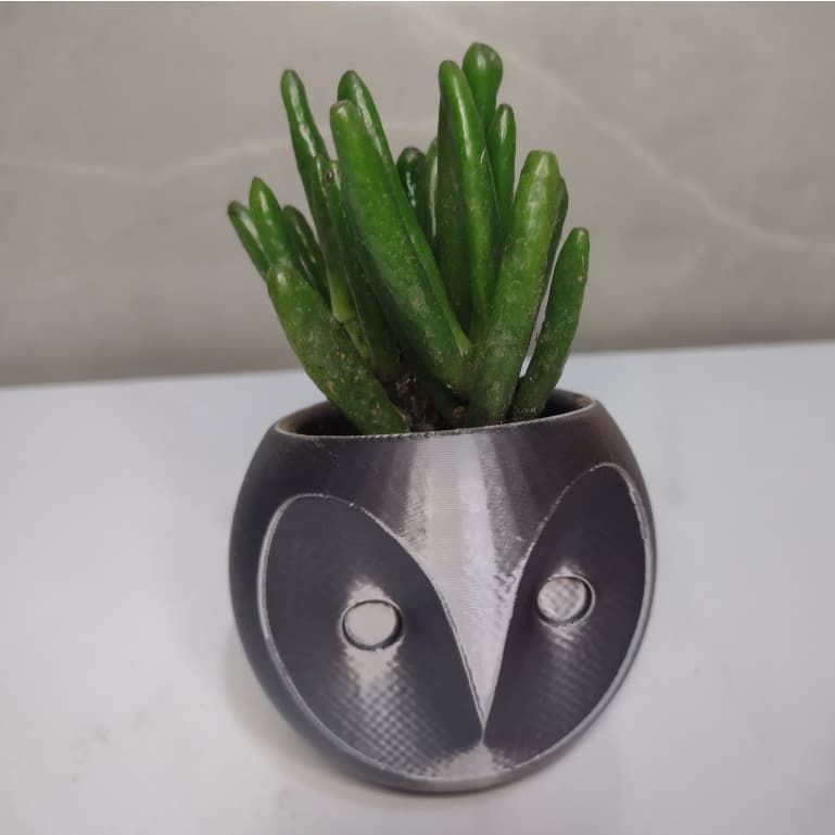🦉 Vaso Decorativo Coruja – Um Toque de Charme e Sabedoria! 🌱