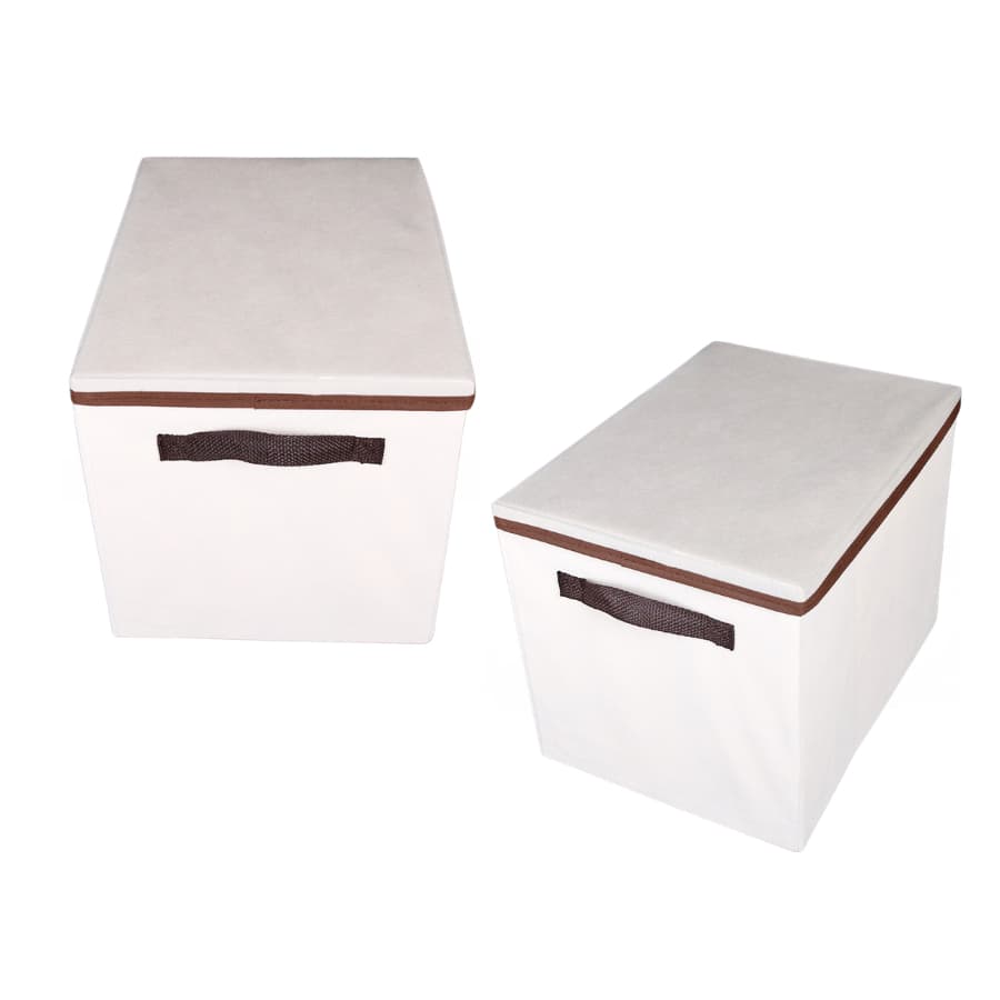 KIT 2 CAIXAS  - Guarda Tudo com Segurança Caixa Organizadora com Tampa