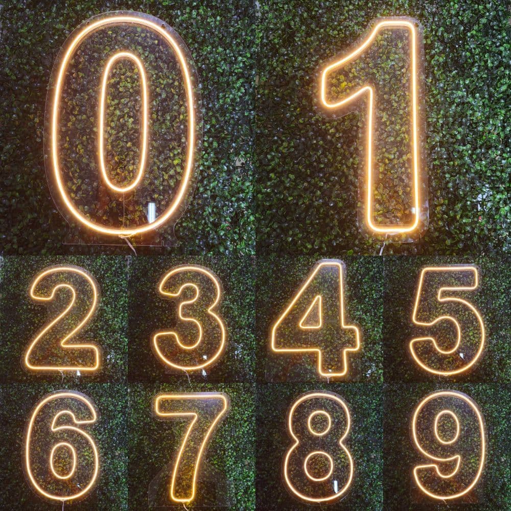 Kit 10 Números Neon LED Tamanho 50Cm Decoração Festas