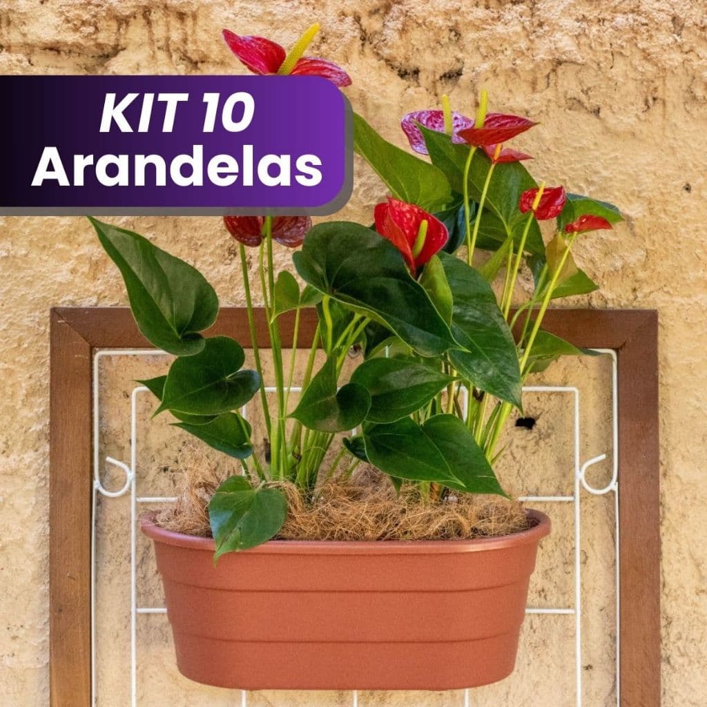 Kit 3 a 10 Vaso de parede Duplo plástico Arandela meia lua cuia 6L