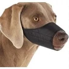 Focinheira Nylon Caes Banho Tosa Pet Shop - 5 Uni