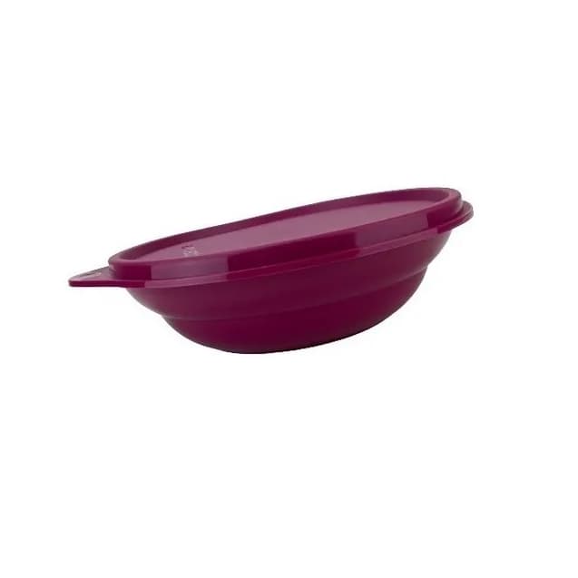 Tupperware Pragela 450 Ml Com Tampa