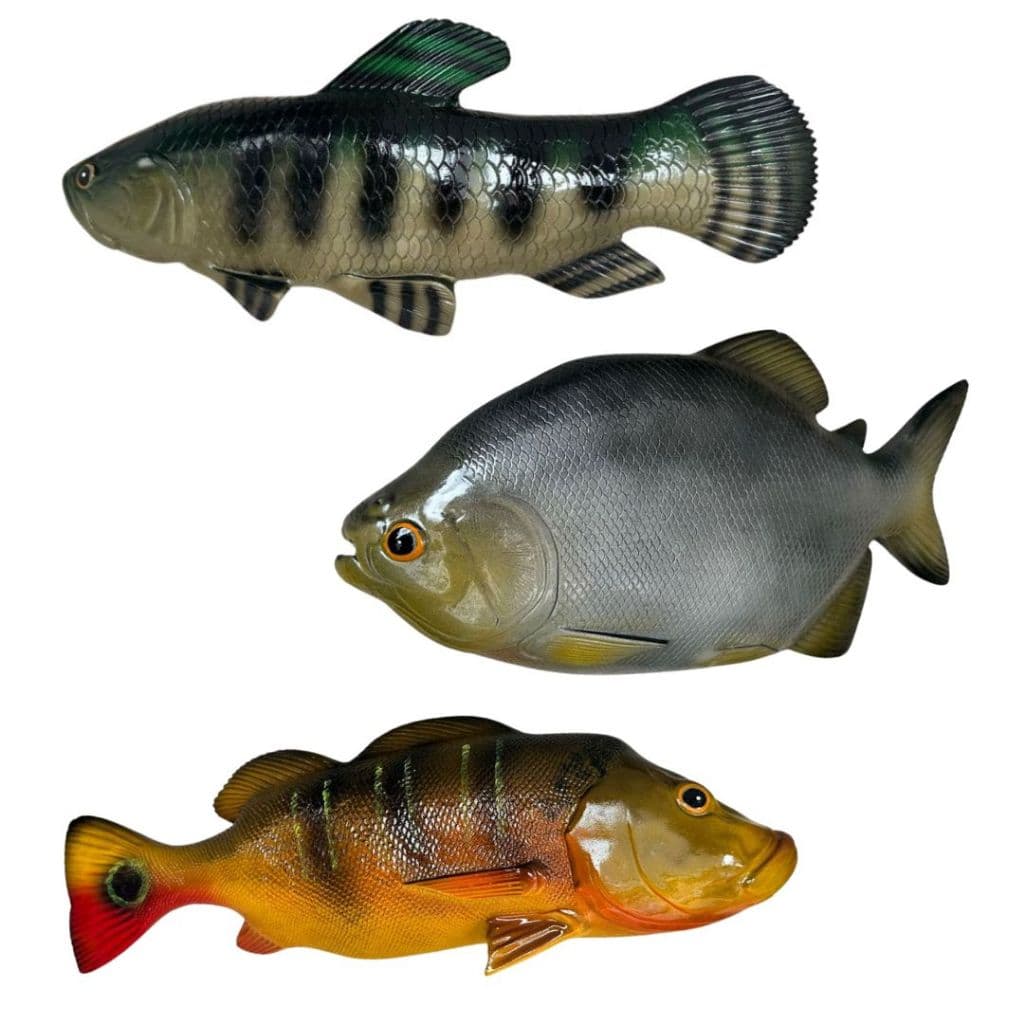 Peixe Grande Em Resina Decoraçao Parede Traíra Tucunaré Pacú