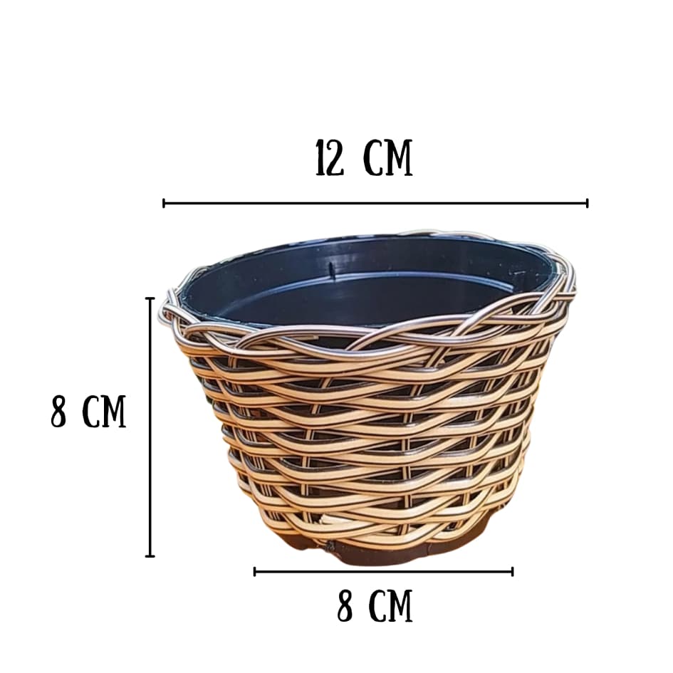kit com Vasos fibra sintética - cactos - suculentas - Mudas