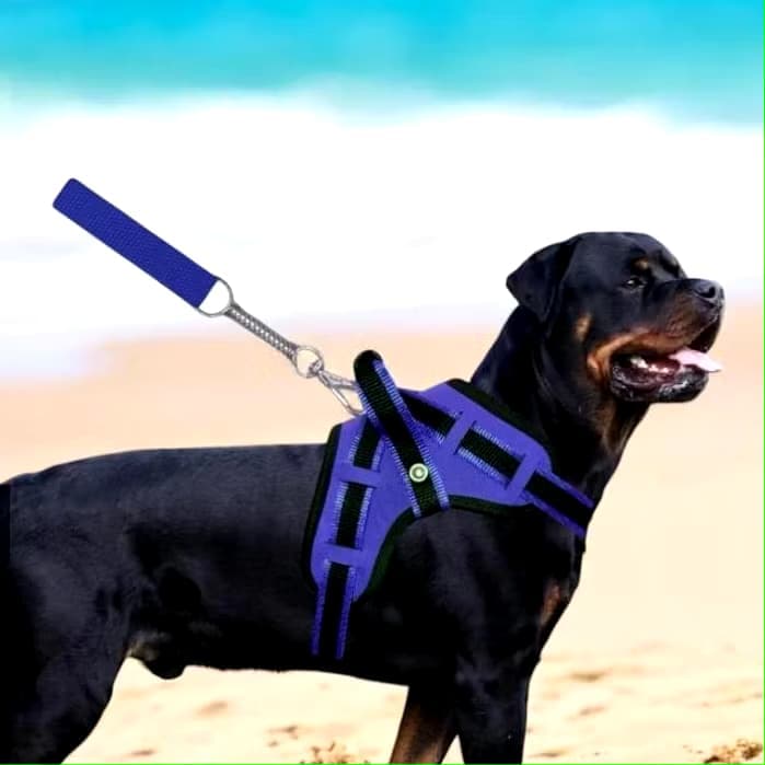 Peitoral coleira para cachorro de pequeno médio grande porte reforçado para Pitbull Fila Brasileiro