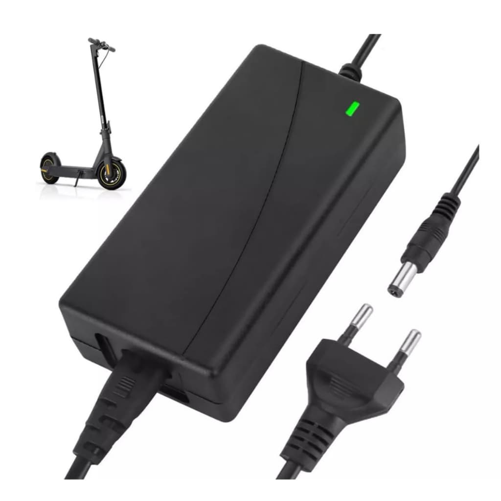 Carregador Para Bicicleta Oggi E-bike Big Wheel 8.0