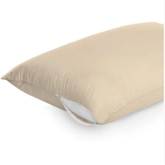 Capa De Travesseiro Premium Bege Com Zíper 49X69Cm Protetora Antialérgica Contra Ácaros E Poeira