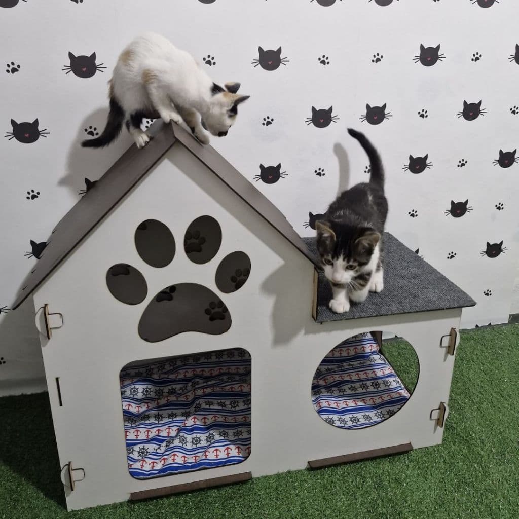 Casinha de Gatos  Toquinha Para Gatos ou cachorro de pequeno porte em MDF com almofada