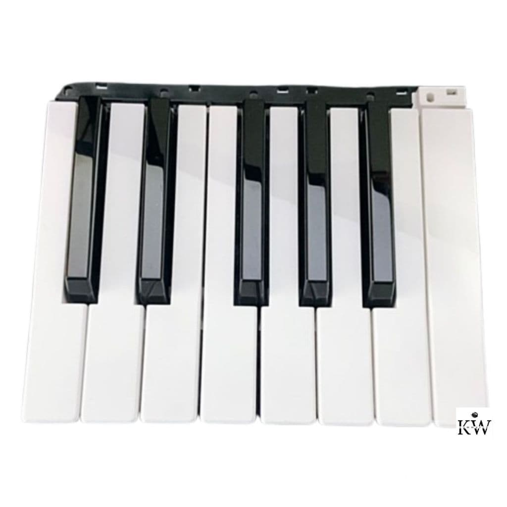 Ultima Oitava P/ Korg PA300 PA500 PA600 PA700 PA900 Original
