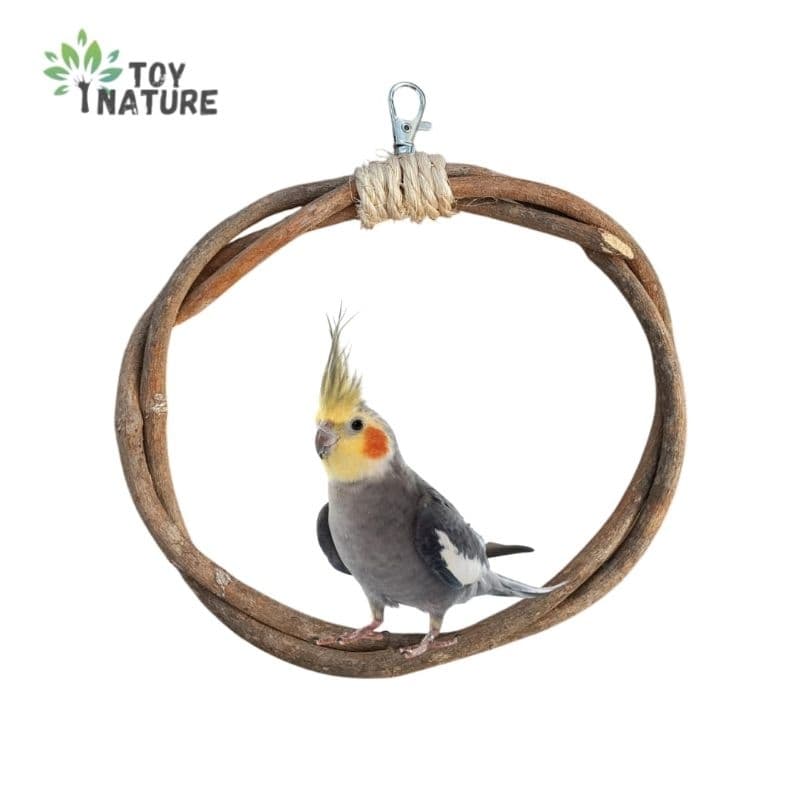 Balanço Aves Natural Cipó brinquedo Calopsita Diversão 100%natural ToyNature