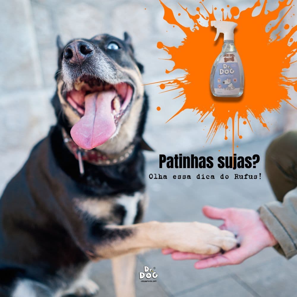 Banho a Seco para Cachorro Gatos hipoalergênico, Neutraliza Odores, Limpa Patinhas, limpeza rápida