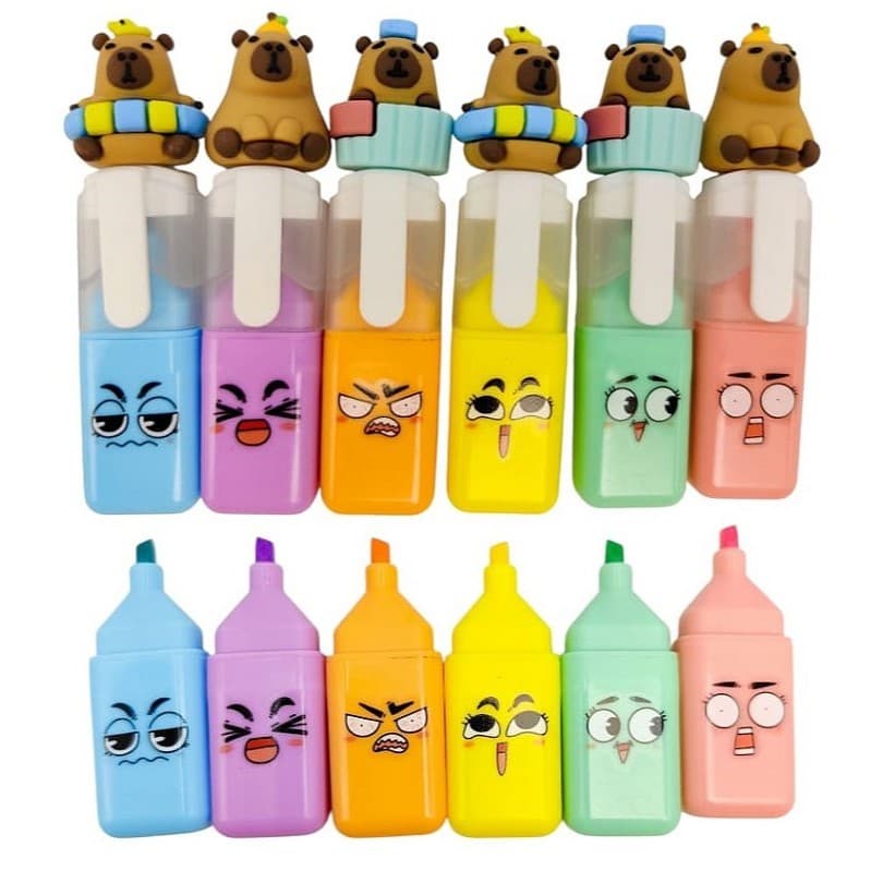 Conjunto Marca Texto 6 Cores Capivara
