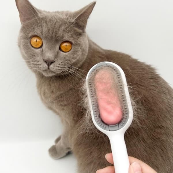 Tira Pelos Escova Removedora Dos Pets Cães E Gatos