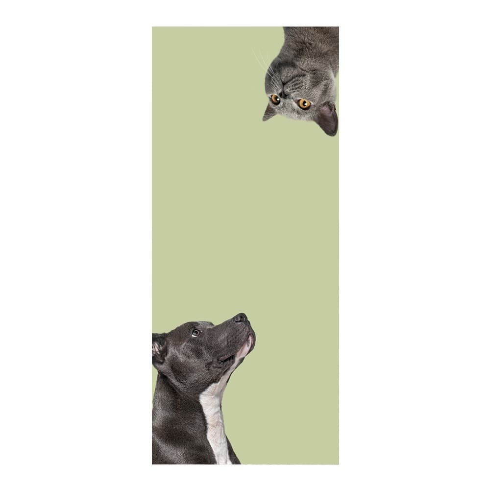 Adesivo Decorativo de Porta Pet Shop Veterinário Cachorro Gato Banho e Tosa OUTRAS MEDIDAS