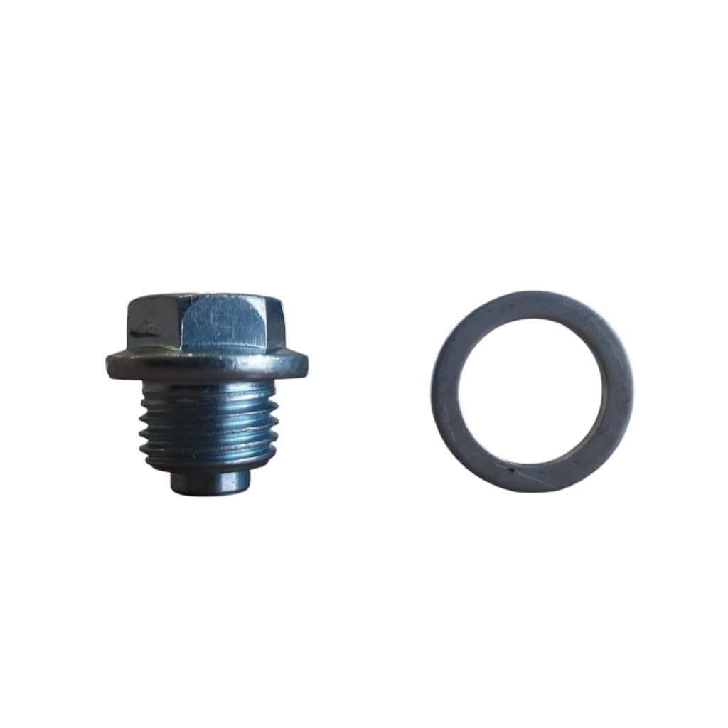 PARAFUSO TAMPA FLAUTA TENSOR CORRENTE COMANDO / BIZ 100 - C 100 BIZ - C 100 BIZ+ - C 100 DREAM - POP 110i / 1 UNIDADE