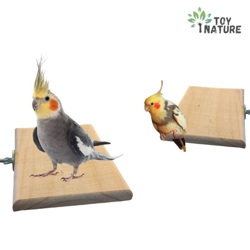 Plataforma de descanso aves calospita Natural ToyNature