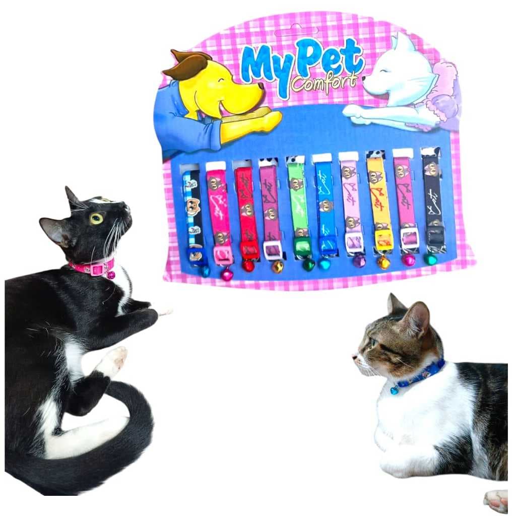 Cartela de Coleira Gato Confort C/ Elástico E Pingente Kit C/ 10 unidades