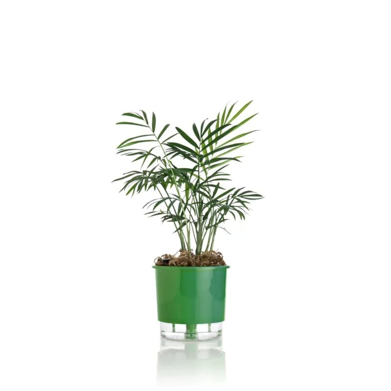 VASO AUTOIRRIGÁVEL N03 VERDE ESCURO