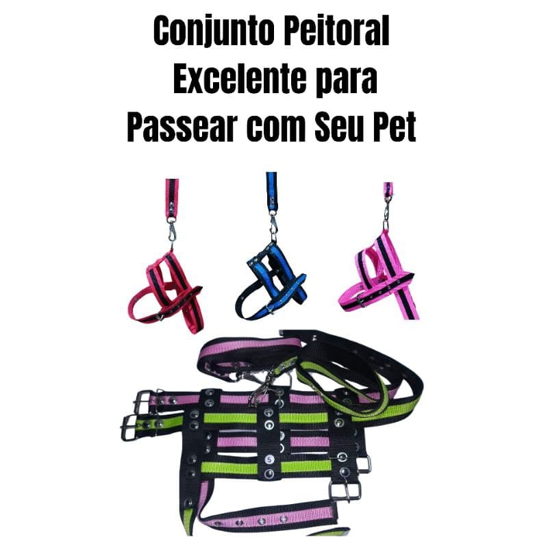 Guia e Peitoral Grande Porte