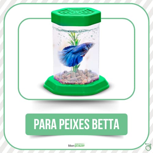 Aquario Beteira Para Peixe Betta C/ Tampa (Acrilico) 1 un