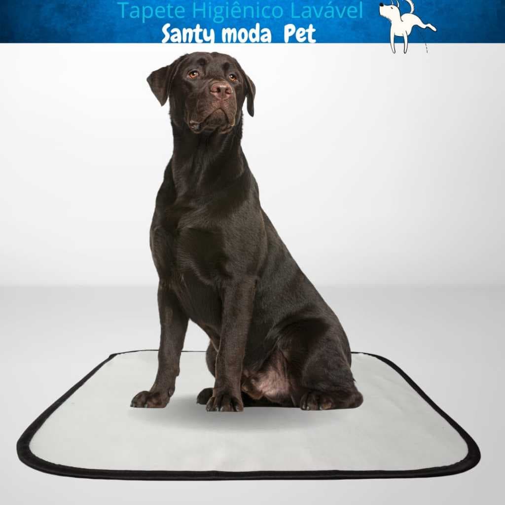 kit 4 tapete higiênico lavável cães G, tam 80 x 100, cachorro pet reutilizável impermeável.