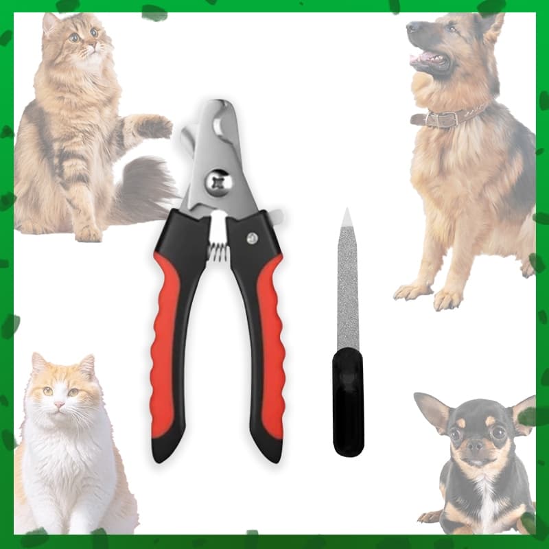 Pet unha cortador Alicate Pet Cortador Cortador de unhas para gatos Tamanho médio dog nail cutter