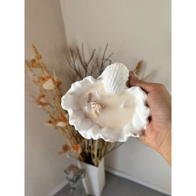 Vela Aromatica Decorativa Perfumada em Concha Minimalista Cera de Coco Pavio de Algodao e Essencia Concentrada 100%