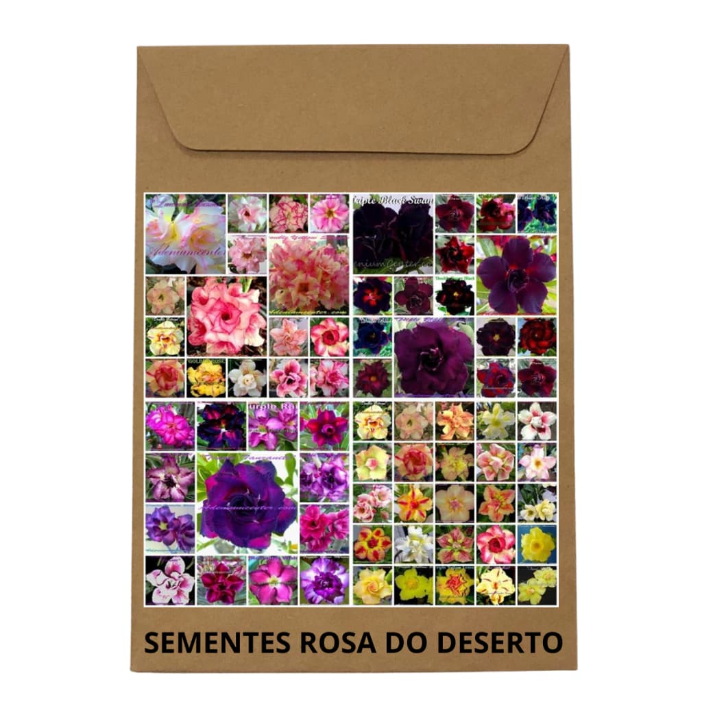 Kit com 100 sementes, (4 cores com 25 de cada, negras, roxas, amarelas e matizadas)