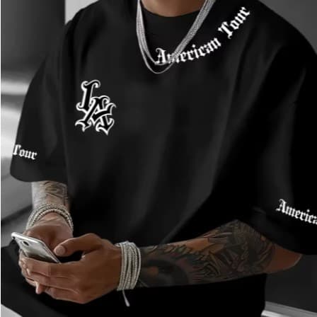 Camiseta Americam Tour Camisa Streetwear
