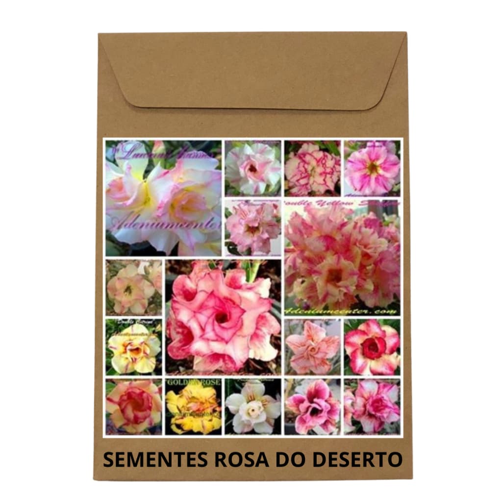 Pacote com 50 Sementes de Rosa do Deserto na cor MATIZADAS CLARAS