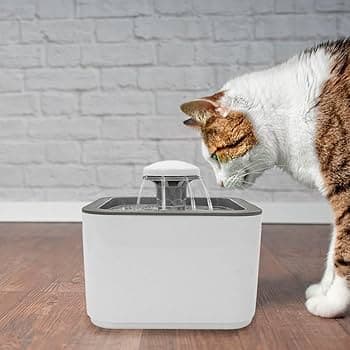 Bebedor Fonte Agua Gato Cachorr com Filtro Cães E Gatos Premium Pet amor para pet