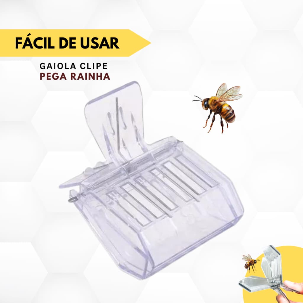 Gaiola Captura Pega Abelha-Rainha Clipe Acrílico Transferencia Enxame Manejo Colmeia Apicultura