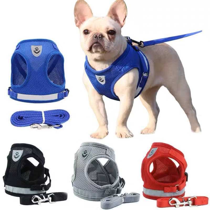 Coleira Peitoral Com Guia para Cães E Gatos Colete Respirável Regulável Super Confortável