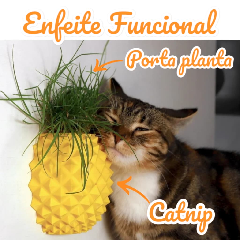 Enfeite funcional para gatos com catnip e erva do gato com dupla face
