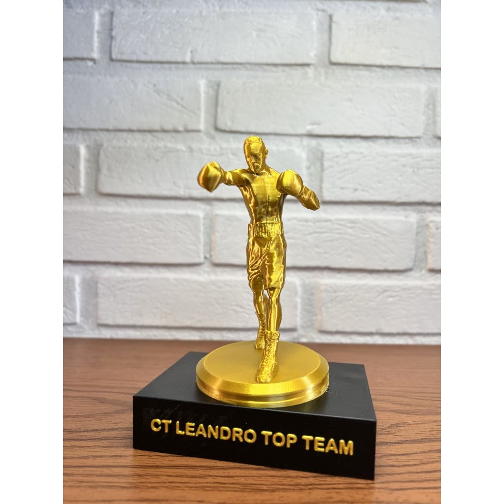 TROFEU BRINDE ESCULTURA BOXE ACADEMIA DE LUTA