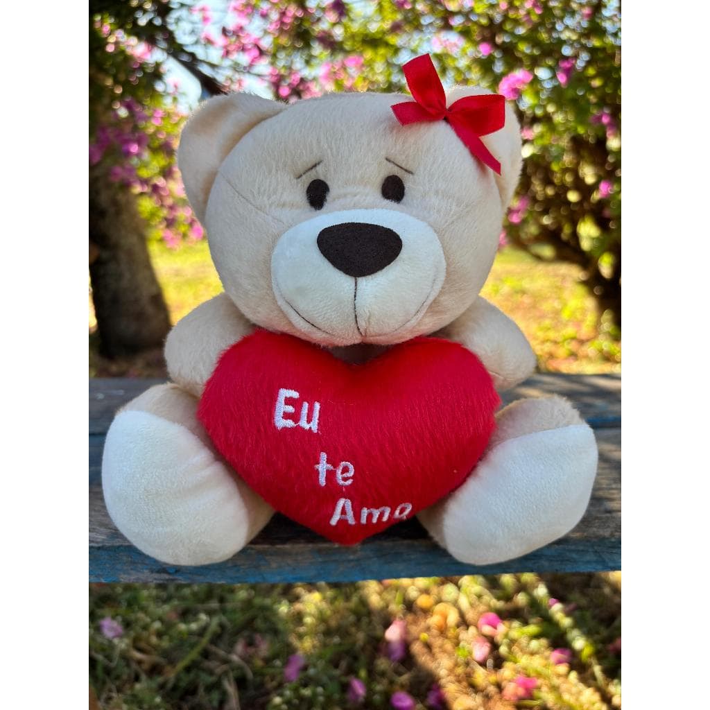 Urso Pelucia Com Coração Teddy Ursinho Pequeno 20cm Bicho