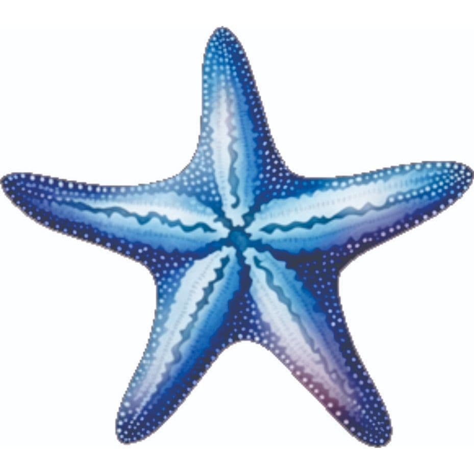 DISPLAY MDF ESTRELA FUNDO DO MAR AZUL 60CM