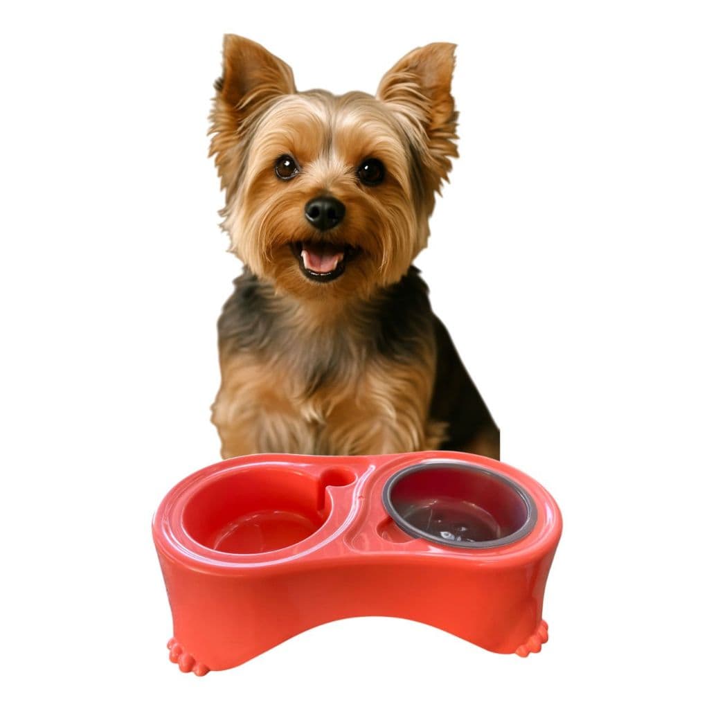 Comedouro Bebedouro Duplo Automático com Suporte Para Garrafa Para Cachorro Gatos
