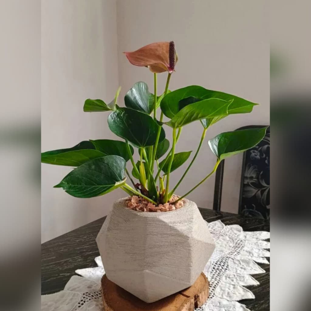 Vaso Grafiato para planta decorativo modelo esfera diamante Escovado 11x11cm Vaso Geométrico