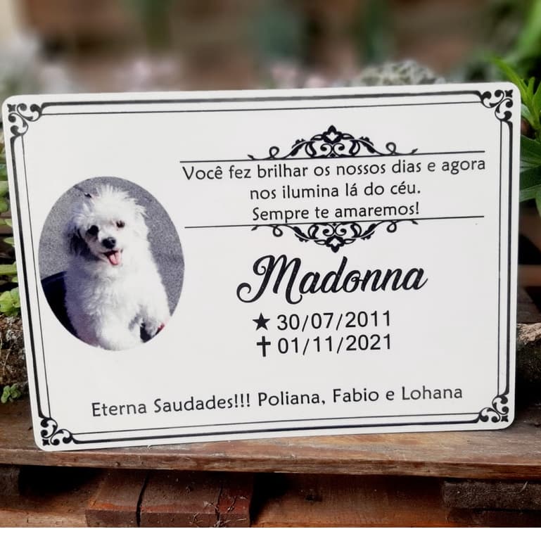 Placa Para Homenagem Inauguração Jazigo Lápide Túmulo Vale Do Paraíba SP 20x28cm