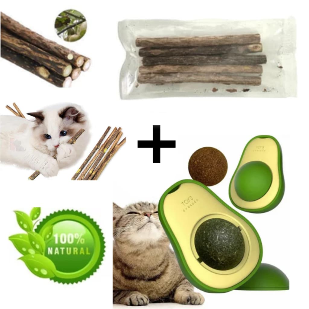 Kit 15 Unid Matatabi Varas Limpa Dentes Anti Stres + 1 Brinquedo Gato Abacate Catnip Erva Natural