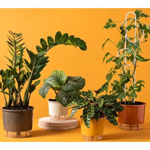 Vaso Autoirrigável Pequeno N2 12,6 Larg x 11,4 Alt