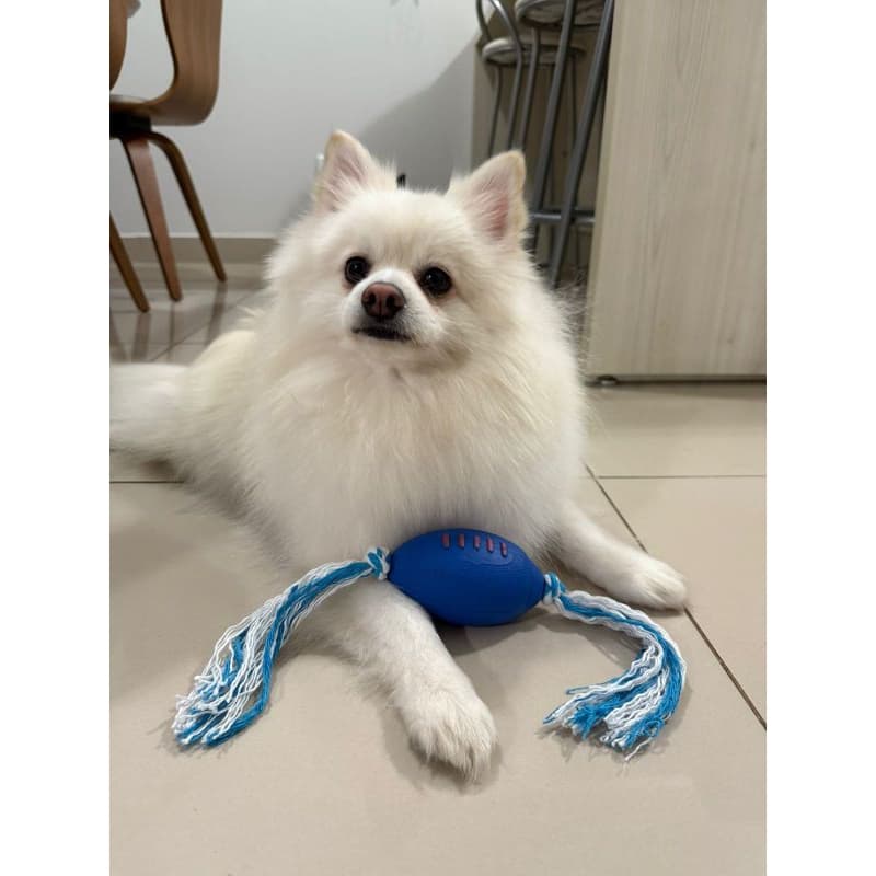 Brinquedo Mordedor Pet Bola Futebol Americano C/ Corda P/ Cães de Pequeno e Médio Porte e Filhotes