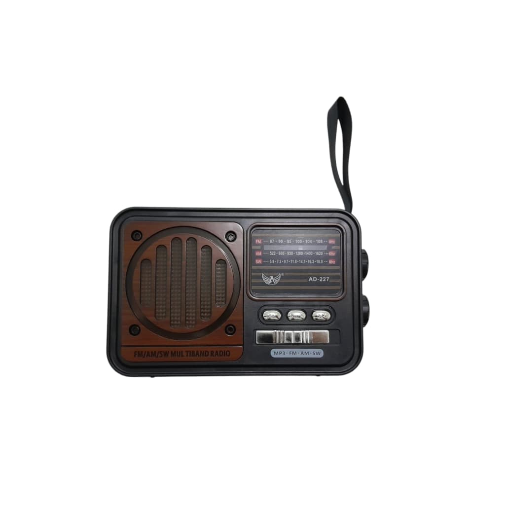 Rádio Retrô Vintage Portátil Com Bluetooth Am Fm Sw Pendrive