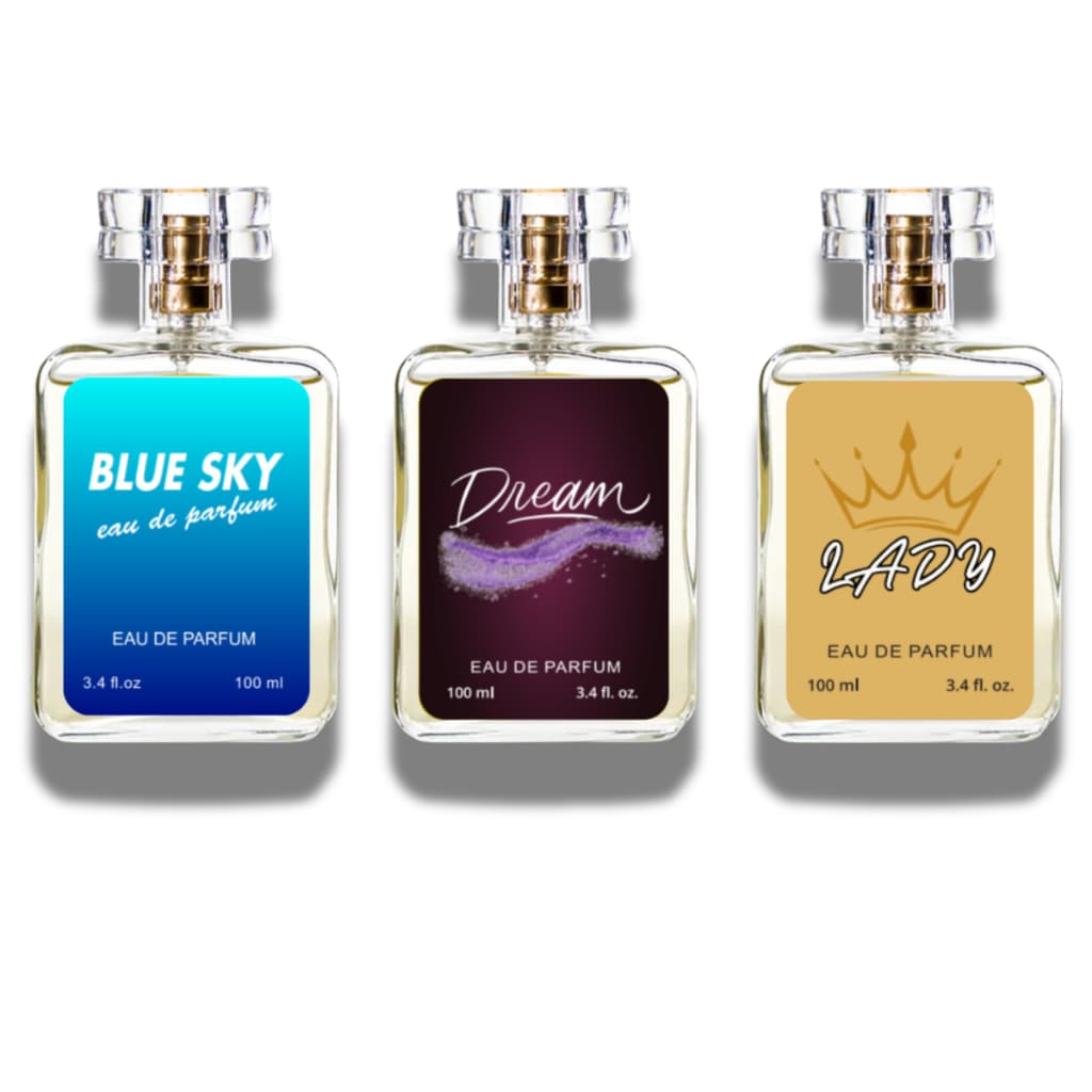 Kit 03 Perfumes Femininos 100ml Ref Importada