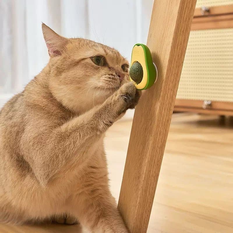 Abacate De Brinquedo Para Gatos Com Catnip Erva Gato Natural