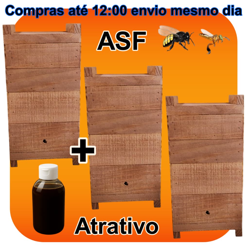 Caixa Casa Para Abelha Jataí Sem Ferrão Nativa ASF 12x12 Interno Madeira Tratada Verniz Base Água Sem Cheiro + Atrativo