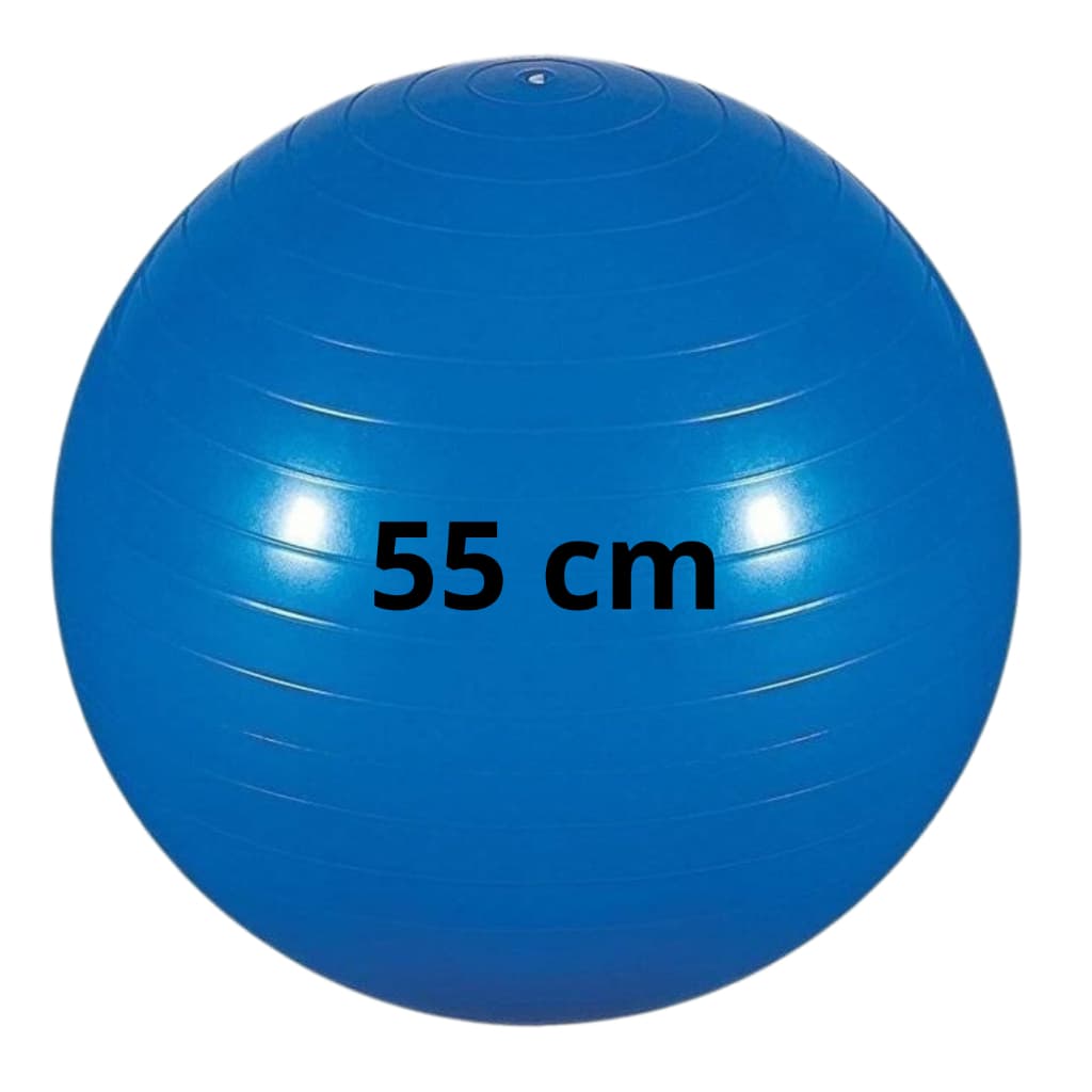 Bola De Pilates Suíça 55 Cm Ginastica Yoga Funcional Fisioterapia Reabilitação Abdominal Treino Casa