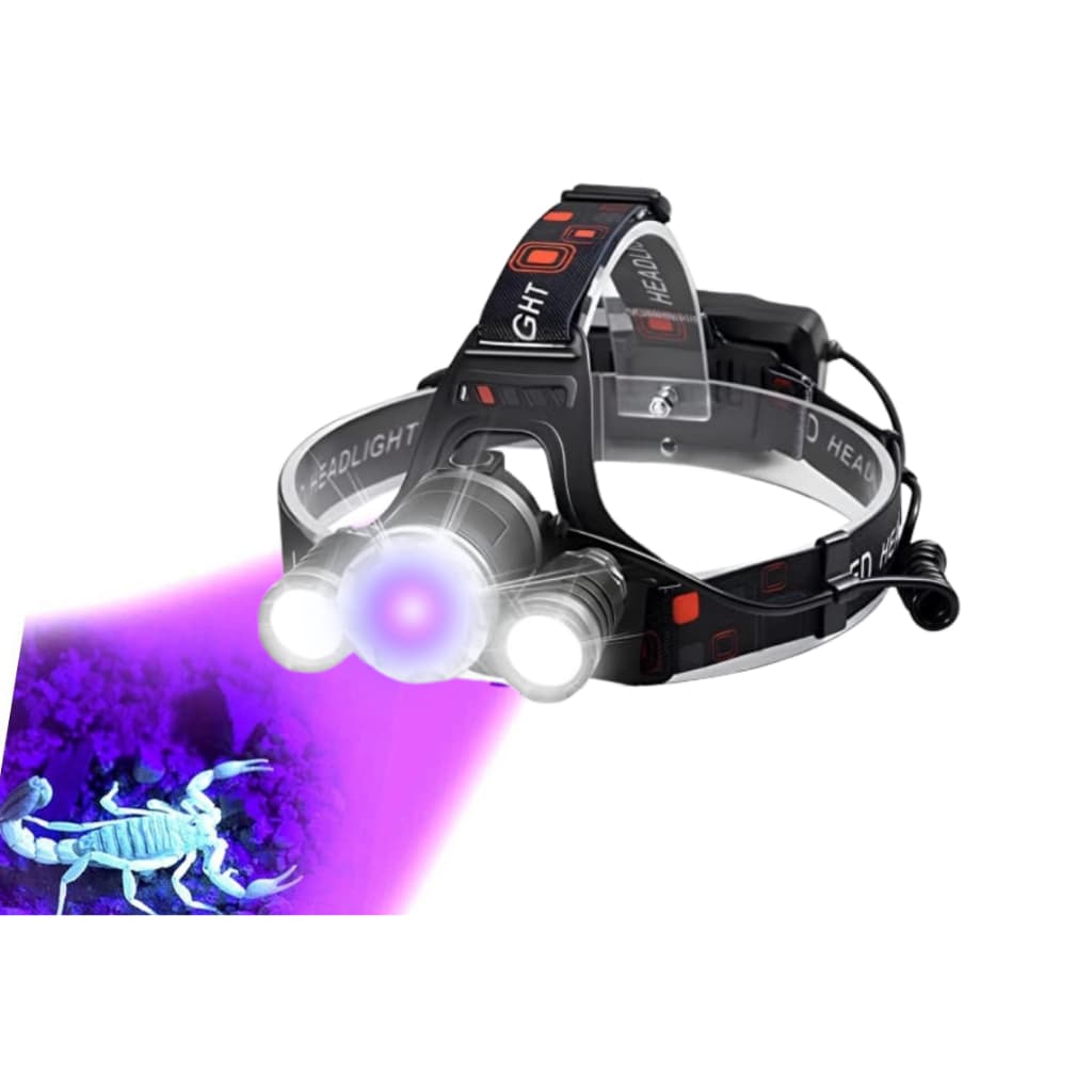 Lanterna De Cabeça Led Luz Roxa Neon Uv Caça Escorpião Dinheiro Detector